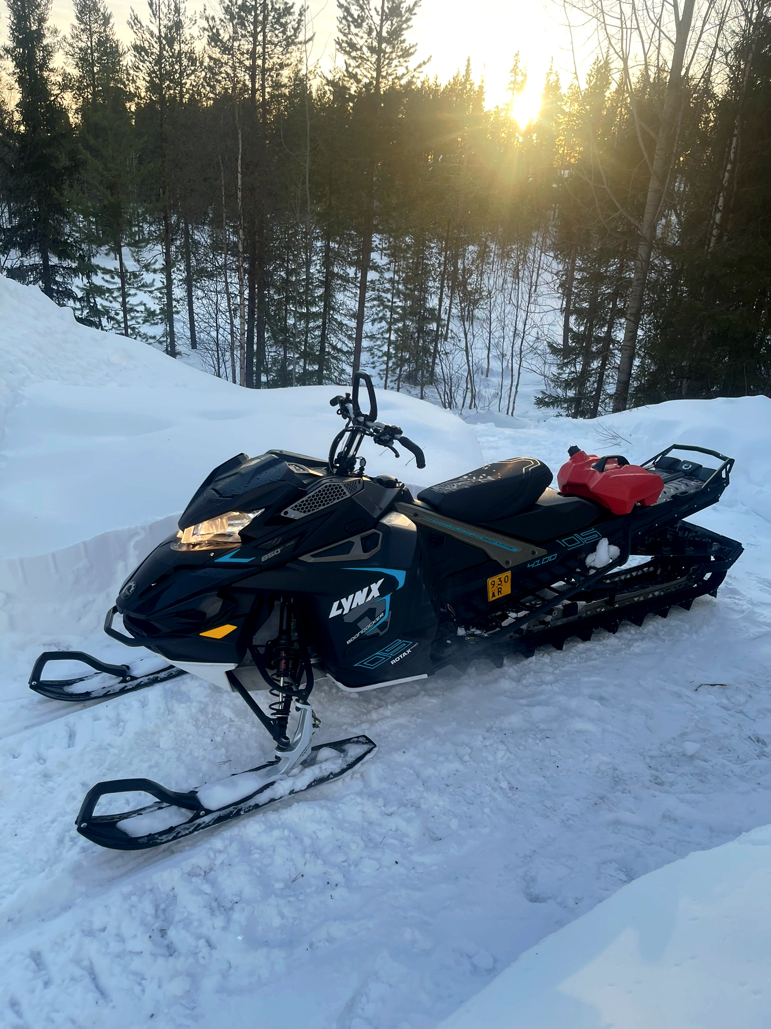 Lynx Boondocker in a winter forest